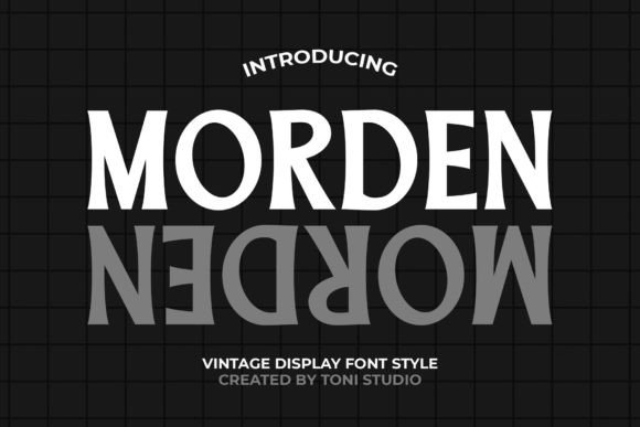 Morden Serif Typeface for Bold Branding